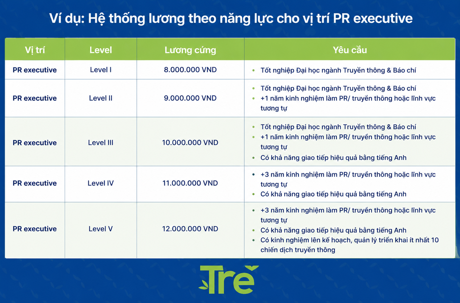 Bảng minh họa hệ thống lương 3P theo cấp bậc và năng lực của từng vị trí trong doanh nghiệp.
